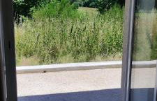 Le Pas du Loup - Photo 42