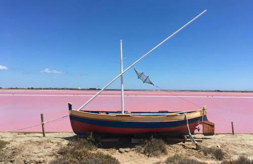 Maison de Vacances 8 à 15 pers à proximité du Canal du Midi - Foto 67