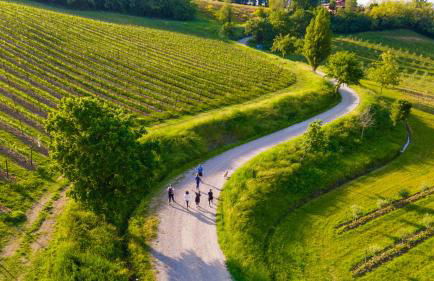 SANTA MARIA MADDALENA 10, Emma Villas - Foto 42