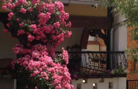 Apartments Dajčić - Foto 51