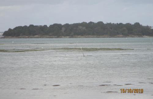 Maison jardin à 400m du golfe du Morbihan - Foto 13
