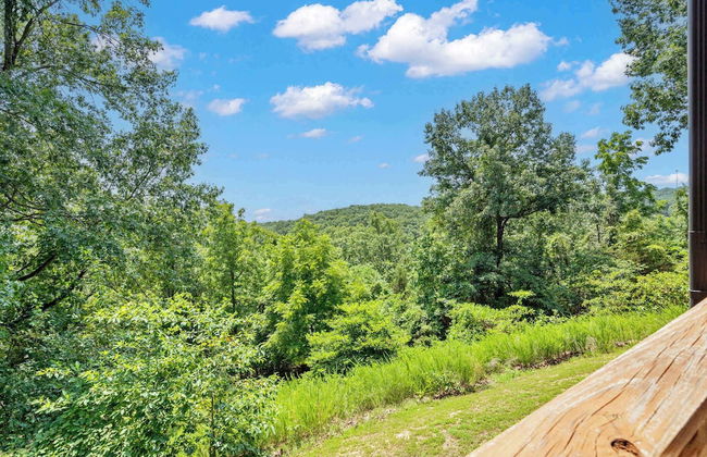 Black Bear Lodge - 1 Mile From Silver Dollar City - Photo 26