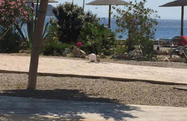 Tony's Beach Hotel - Foto 19