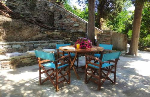 Saint Louis - Foto 51