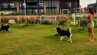 Loft B moderno próximo a orla - Foto 4