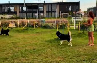 Loft B moderno próximo a orla - Foto 4