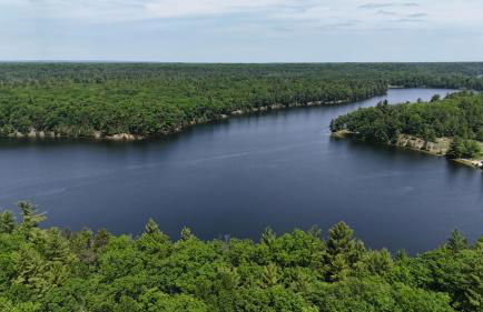 The Hideout - Cute and Quiet Rustic Cabin! - Foto 6