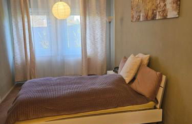 Alte Bibliothek - Foto 30