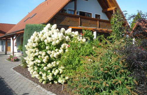 Ferienwohnung Schwarz - Foto 1