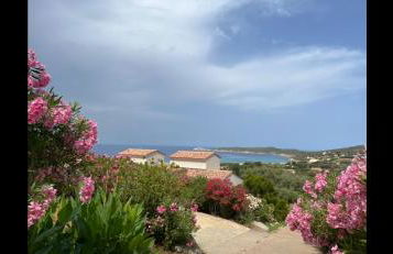 Résidence Castugna - Foto 11