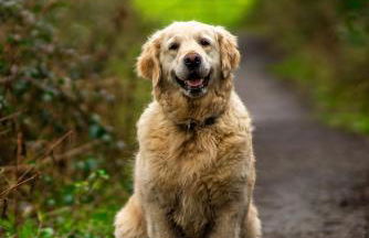 Naturesbase Lodge - Photo 27