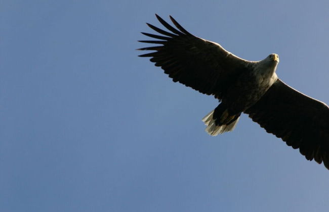 "butikken" - Zeecabines - Foto 21