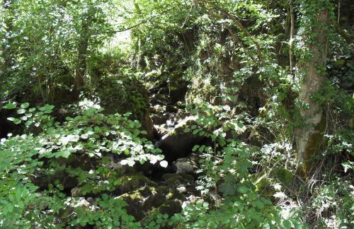 Casa Rural Carrio - Foto 39