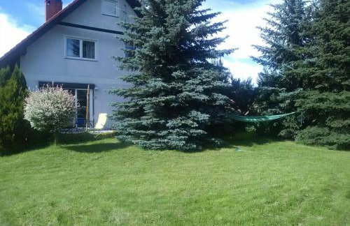 Agro-szyszynka - Foto 1