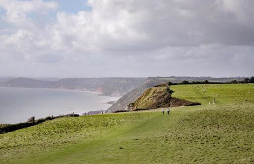 Birch House Studio - Foto 36