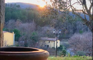 Podere Mazzarelle - Foto 21