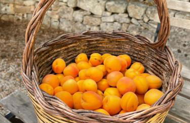 Masseria I Raffi b&b - Foto 65