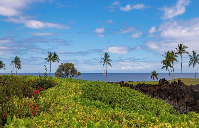 Mauna Lani Point - Foto 43