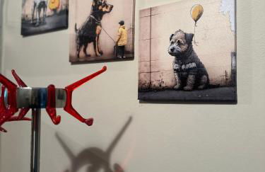 C è posto per te PETFRIENDLY - Foto 20