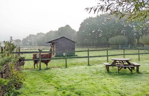 The Quail Cabin - Foto 23