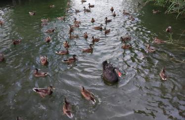 Villa Solenzaïa - Foto 52