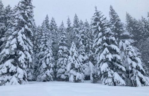 Demi Chalet Le LACHAT - Photo 50