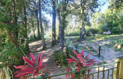 a casetta di a Faragina - Foto 15