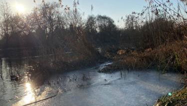 Kleine Auszeit - Foto 5