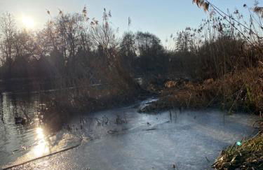 Kleine Auszeit - Foto 5