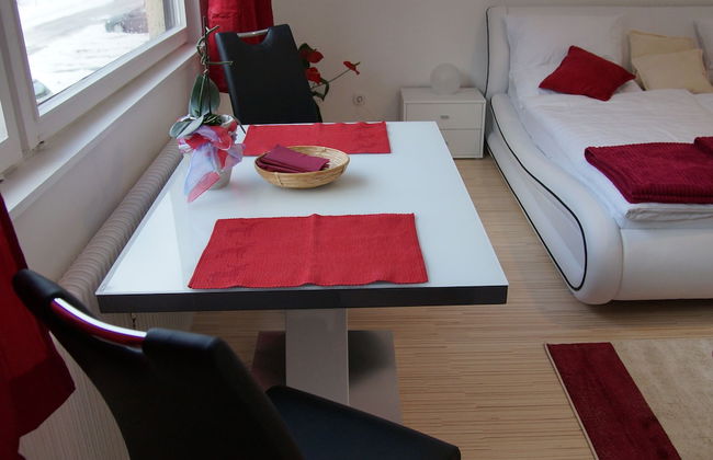 W & S Executive Apartments - Obertraun - Foto 22