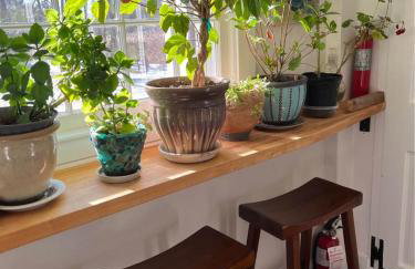 Capt Clarke Historic Homestead Venue - Foto 15