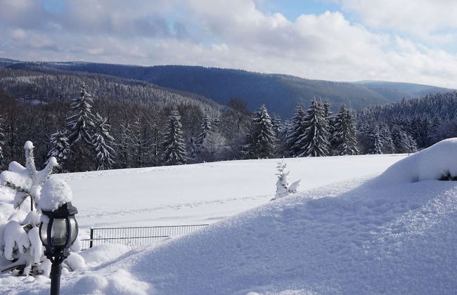 Fantastic Apartment in Frauenwald near Forest - Foto 45