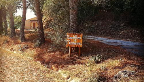 Sonnellino in Maremma - Foto 5