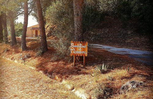 Sonnellino in Maremma - Foto 5