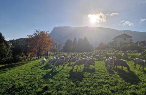 Casa Solaris - Foto 61