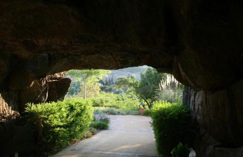 Apartamento en Magnifico Resort - Parque Botanico - Photo 62