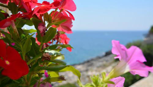 Marinaia - Casa Alba - Foto 2