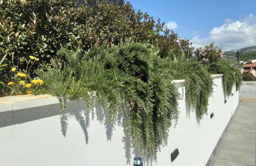 Villa Barbara & Zoran with free parking and heated swimming pool - Photo 62