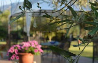 Sunny Garden - Foto 25