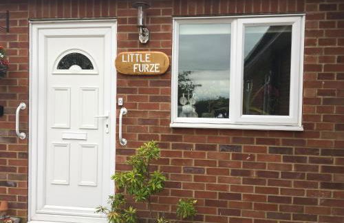 Entire guest house, in Pewsey Vale, Wiltshire - Foto 23