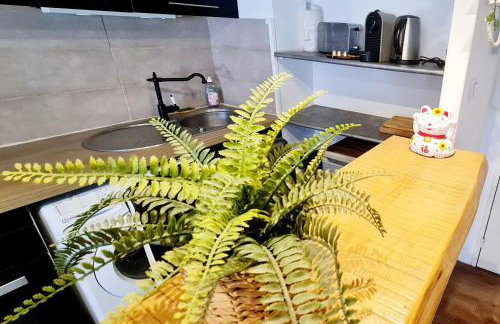 LE PETIT THAI 2 Pièces Climatisé Centre ville avec balcon - Foto 21