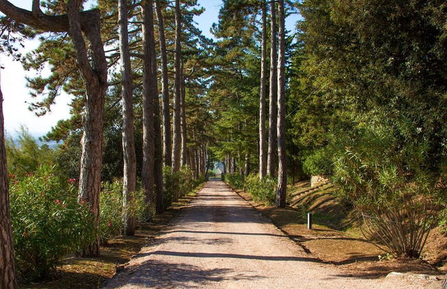 Pg-g212-dtor0at - Torre di Paciano 10 2 - Foto 20