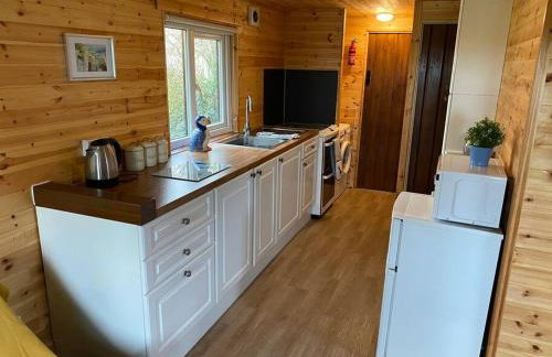 Idyllic Cornish Retreat At Puffin Lodge - Foto 14