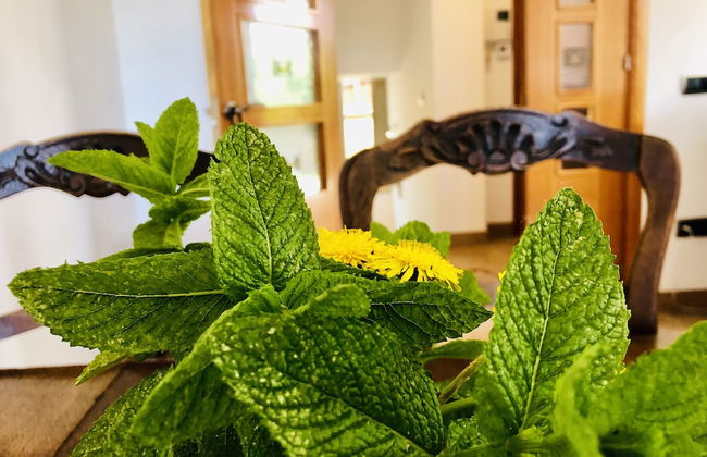 Chalet Con Piscina Privada - Foto 50