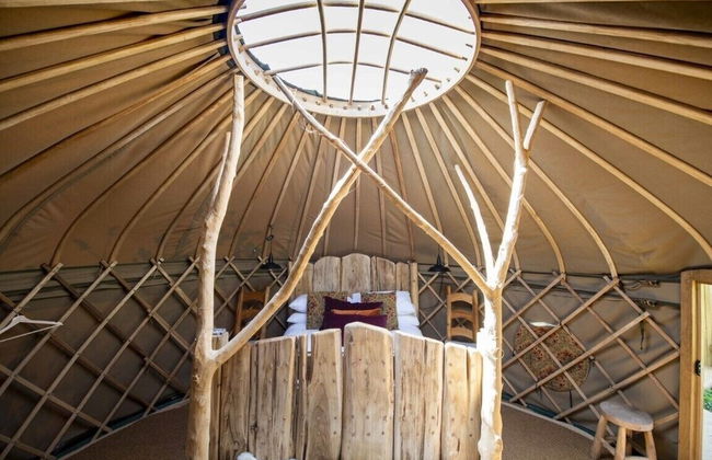 Torre Cider Farm - Foto 7