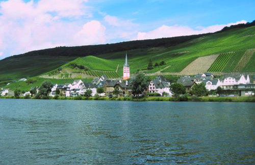 Ferienwohnung Moselufer Zell - Foto 18