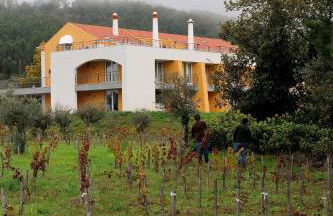 Cabeças do Reguengo - Foto 125