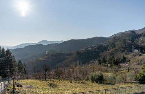 Melograni 2 - Foto 15