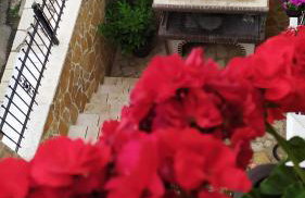 Chrysandra - Foto 15