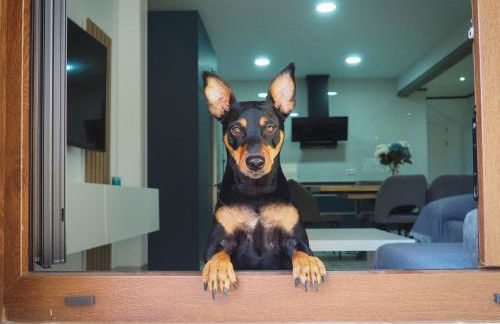 El Encuentro - Foto 4